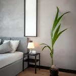 Apartman Nakielska 46a Lux 40m2