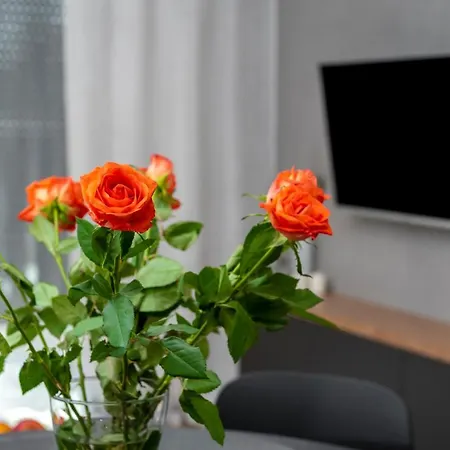 Nakielska 46a Lux 40m2 Bromberg