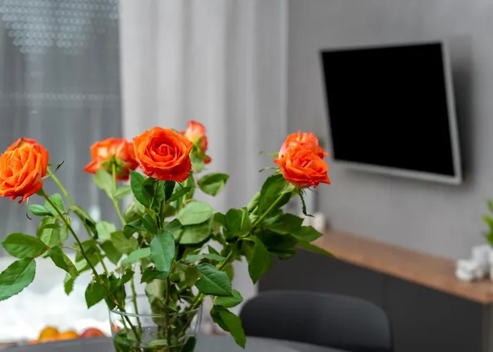 Nakielska 46a Lux 40m2 Bydgoszcz